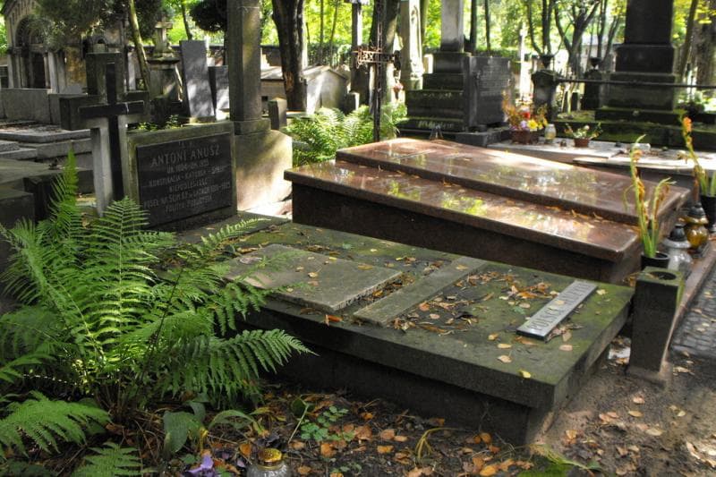 Zdjęcie grobu Franciszek Anusz (1)