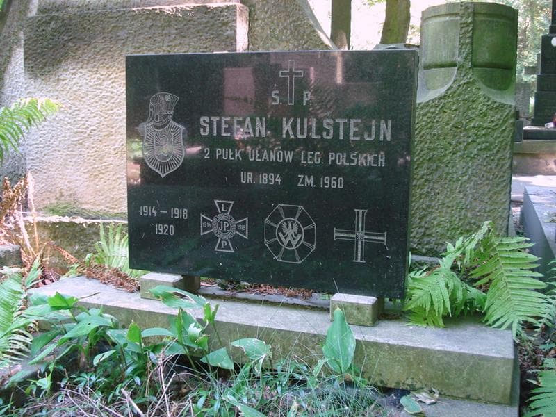 Zdjęcie grobu Stefan Kulśtejn (2)