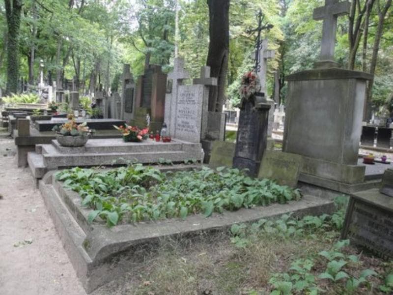 Zdjęcie grobu Franciszek Błażewicz (1)