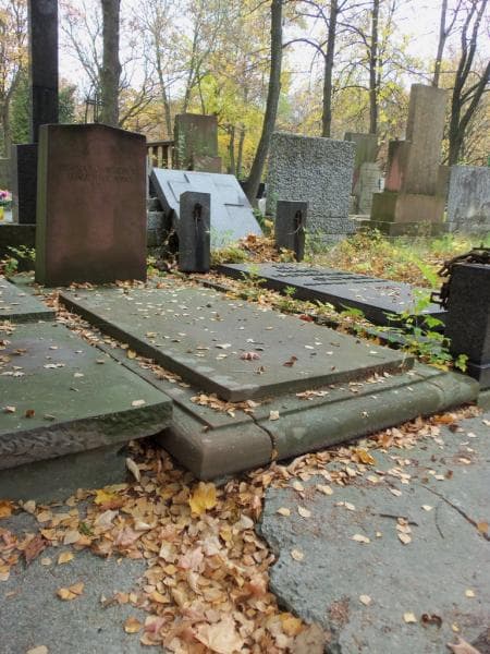 Zdjęcie grobu Regina Jędrzejewiczowa (1)