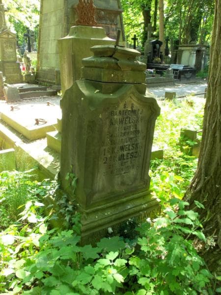 Zdjęcie grobu Eleonora Lamert (2)