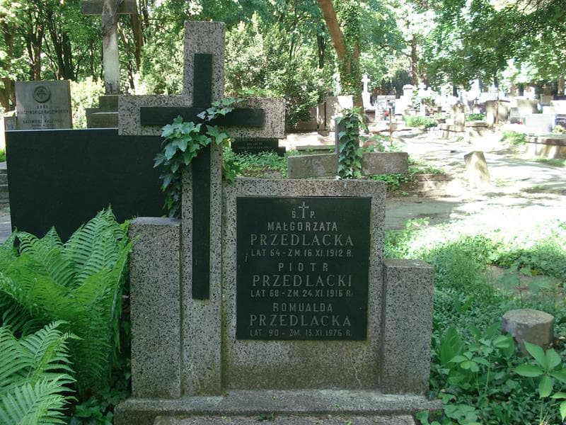 Zdjęcie grobu Romualda Przedlacka (1)