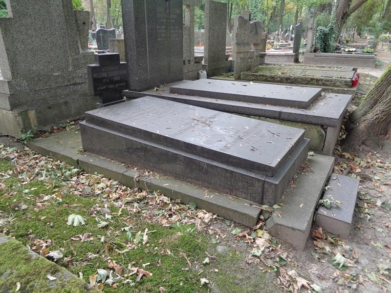 Zdjęcie grobu: Stefania Imszennik Kondratowicz