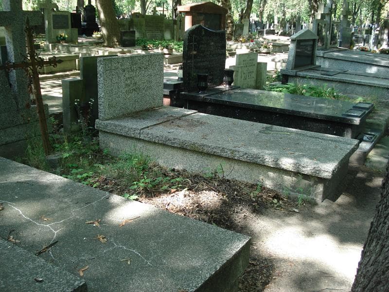 Zdjęcie grobu Anna Wasiewska (1)