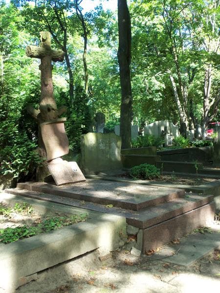 Zdjęcie grobu Marian Lubicz-Płodowski (1)