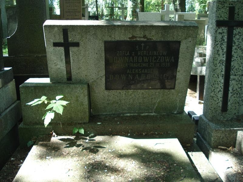 Zdjęcie grobu Aleksander Downarowicz (2)