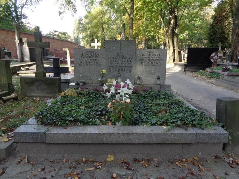 Zdjęcie grobu Janina Degórska (1)