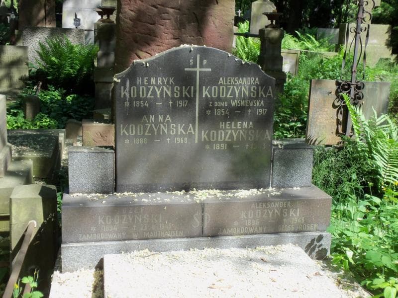 Zdjęcie grobu Józef Kodzyński (2)