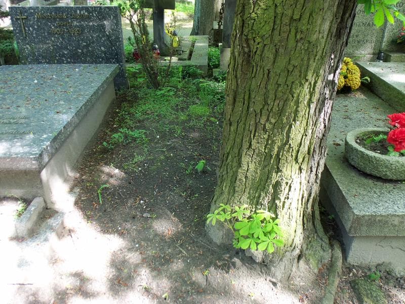 Zdjęcie grobu: Pole Grobowe
