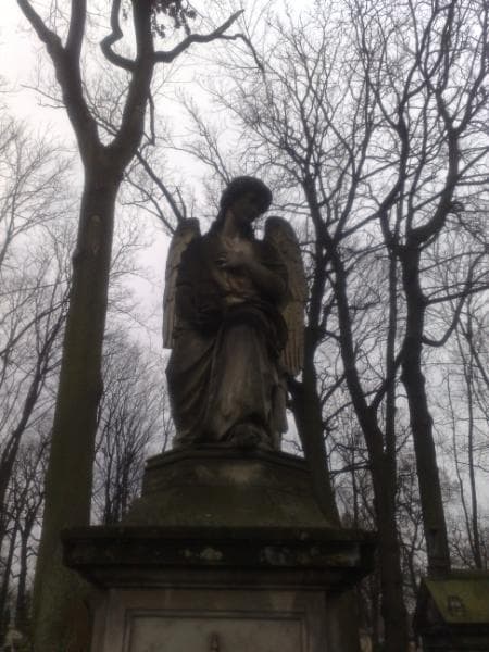 Zdjęcie grobu Franciszek Leszczyński (2)