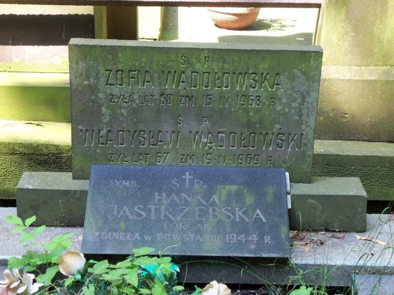 Zdjęcie grobu Hanka Jastrzębska (2)