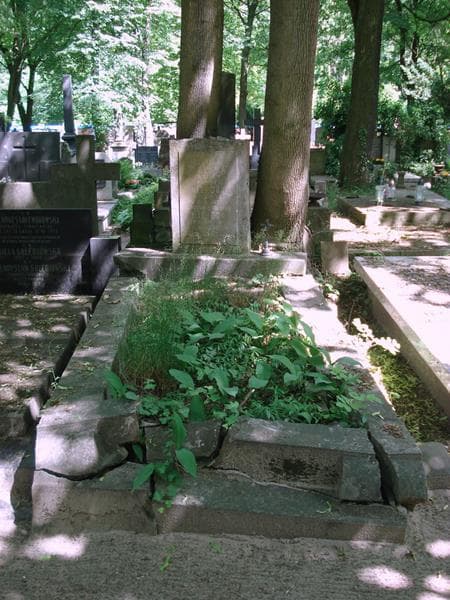 Zdjęcie grobu Zofia Wolska (1)
