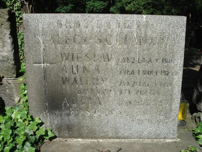 Zdjęcie grobu Walery Nałęcz-Golian (1)