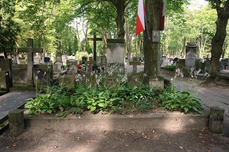 Zdjęcie grobu: ... ...
