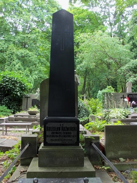 Zdjęcie grobu Leon Koźmiński (2)