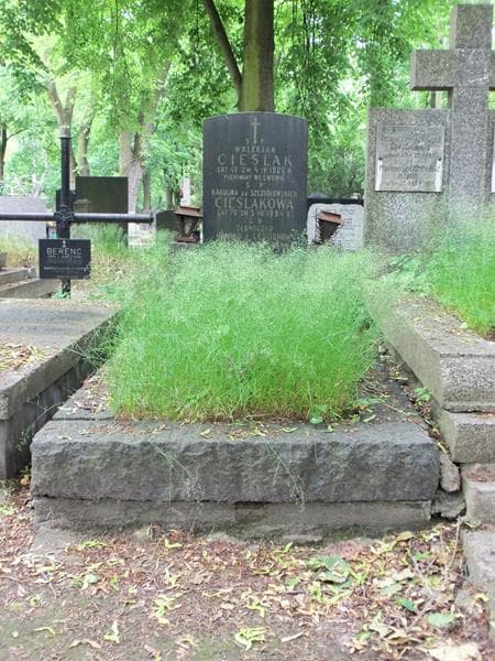 Zdjęcie grobu: Walerian Cieślak