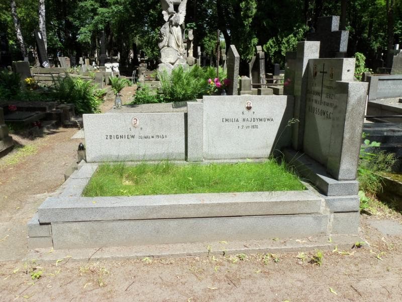 Zdjęcie grobu Jerzy Kłossowski (1)
