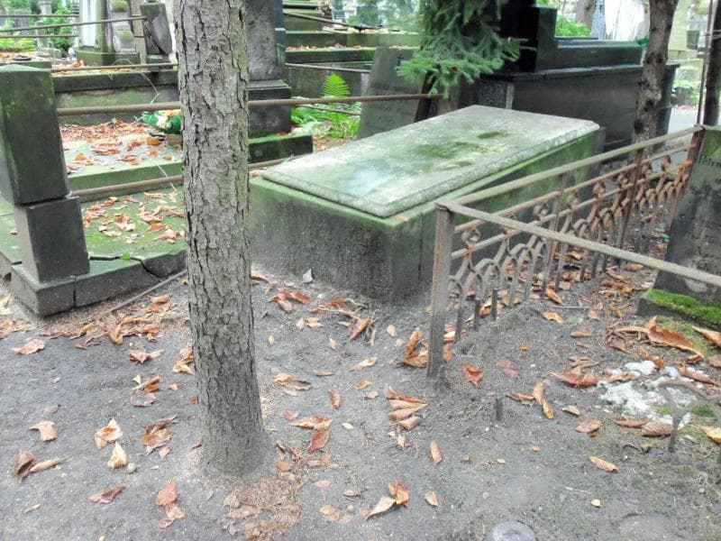 Zdjęcie grobu Rozalia Schussler (1)