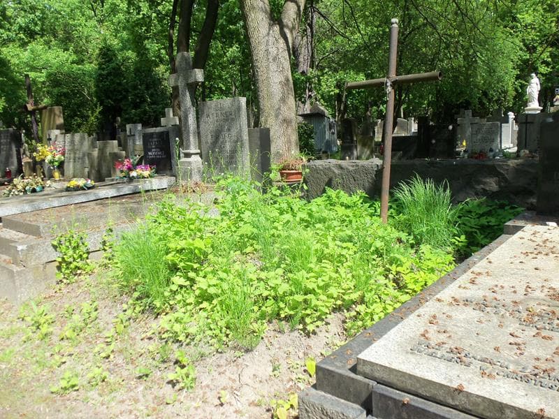 Zdjęcie grobu Anonim (1)