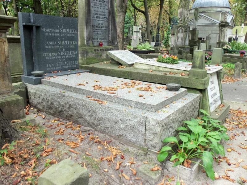 Zdjęcie grobu Czesława Strzelecka (1)