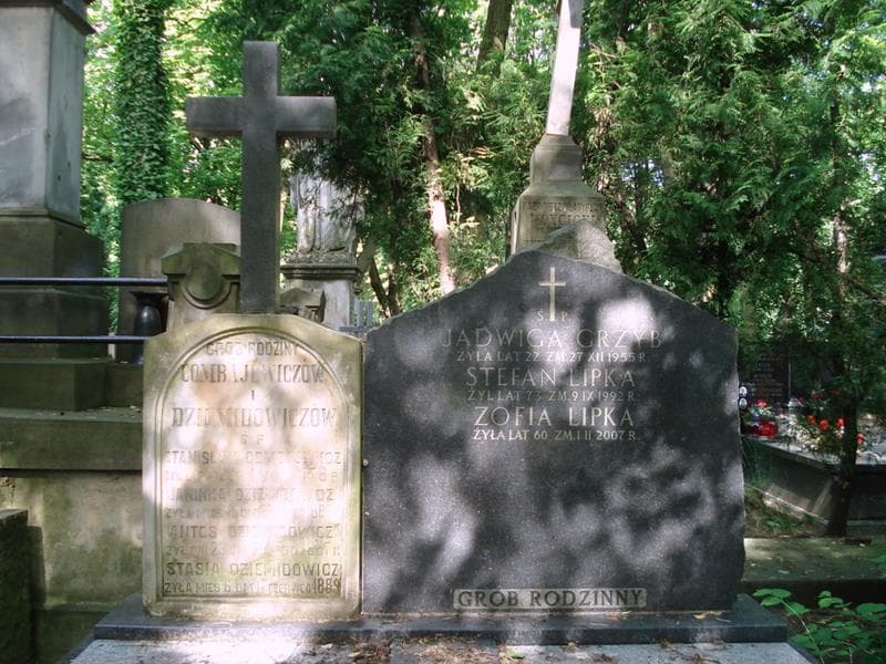 Zdjęcie grobu Stanisław Combajewicz (2)