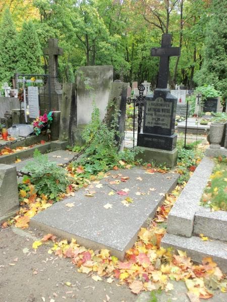 Zdjęcie grobu Antonina Woyde (1)
