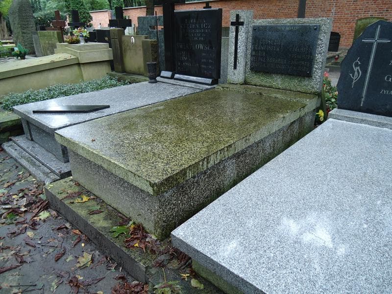Zdjęcie grobu Władysława Walewska (1)