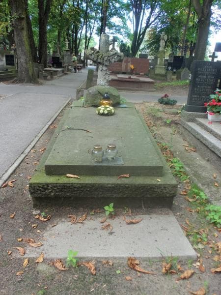 Zdjęcie grobu: Teofil Hemering