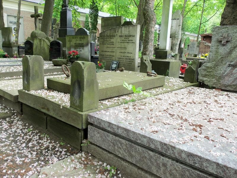 Zdjęcie grobu Marja Drwęska (2)