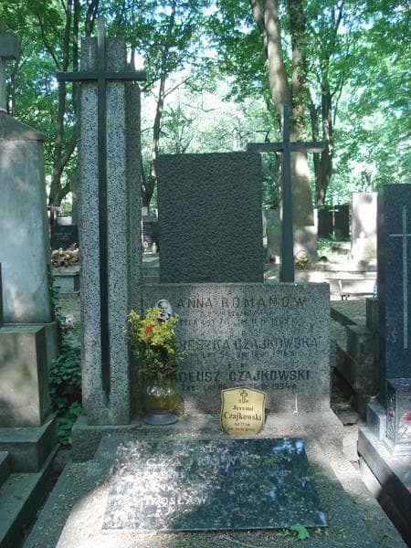 Zdjęcie grobu Tadeusz Czajkowski (1)