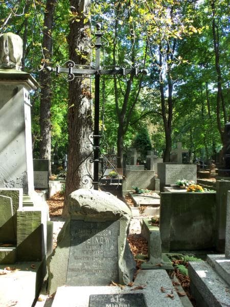 Zdjęcie grobu Janina Chlebińska (2)