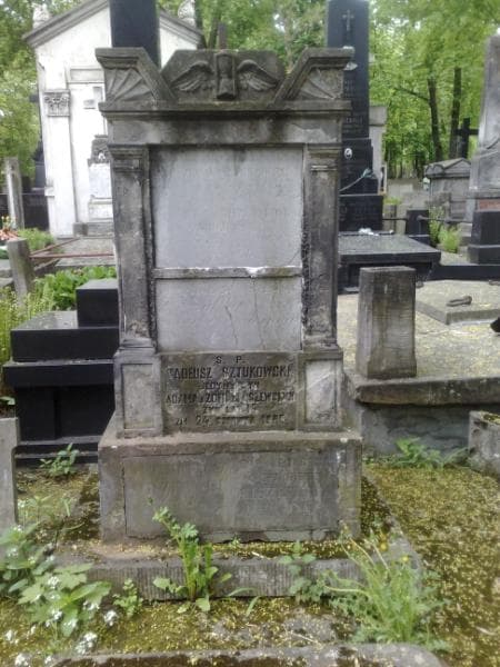 Zdjęcie grobu Ludwika Długołęcka (1)