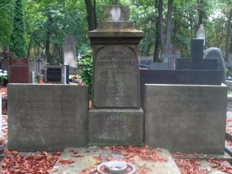 Zdjęcie grobu Franciszek Tereba (2)