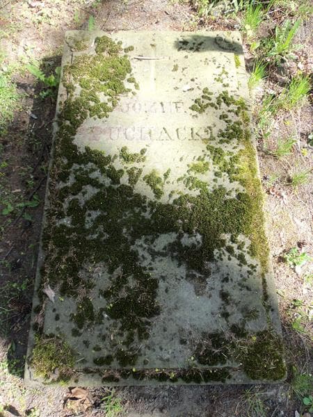 Zdjęcie grobu Józef Puchacki (2)