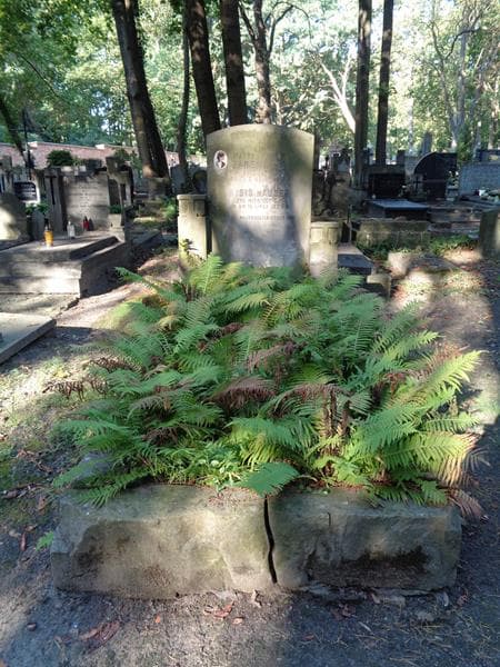 Zdjęcie grobu Rysio Hauser (1)