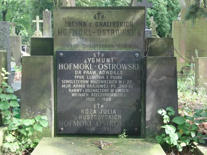 Zdjęcie grobu Zygmunt Hofmokl-Ostrowski (2)