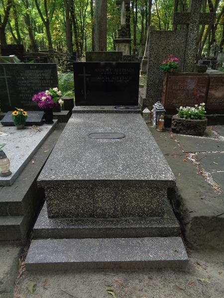Zdjęcie grobu Andrzej Auerbach (1)