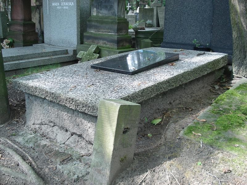 Zdjęcie grobu Witold De Nisau (2)
