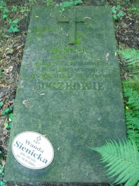 Zdjęcie grobu Władzia Buczek (2)