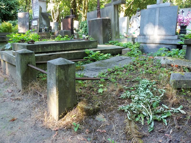 Zdjęcie grobu Ignacy Maciejewski (1)