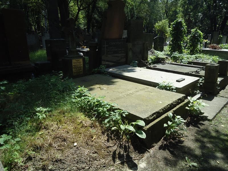 Zdjęcie grobu Józef Marszałkowski (1)