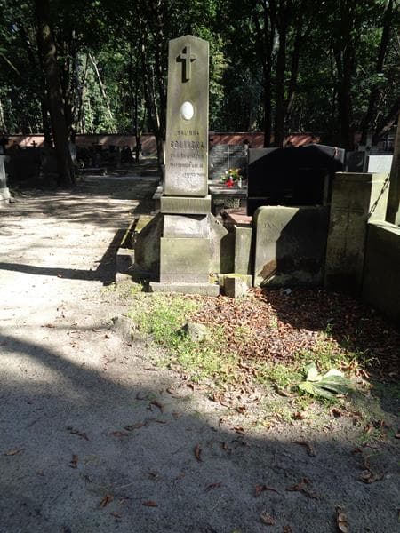 Zdjęcie grobu Halinka Golińska (1)