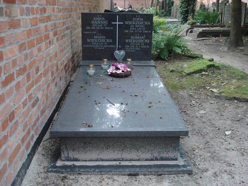 Zdjęcie grobu Karol Hański (1)