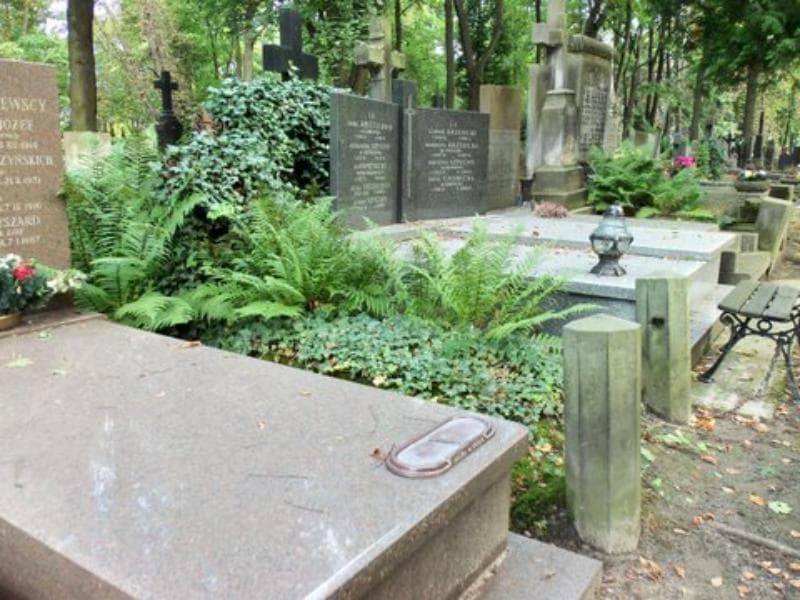 Zdjęcie grobu Henryk Barański (1)