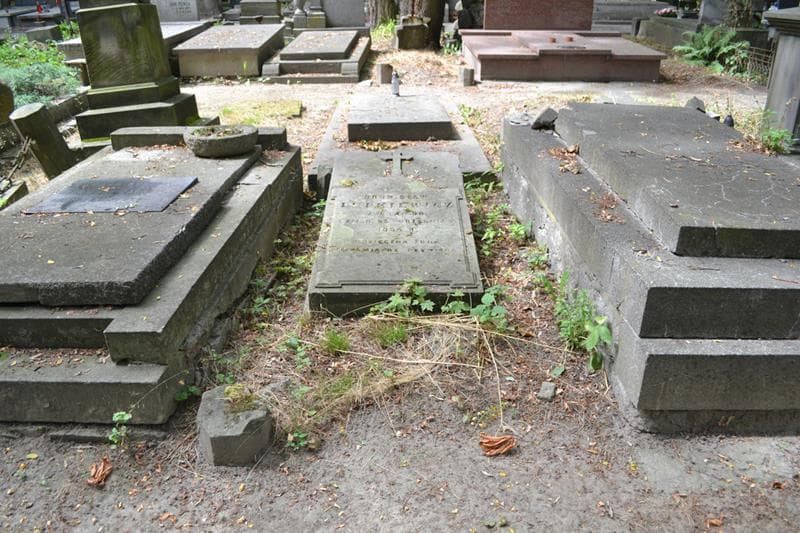 Zdjęcie grobu Bronisław Lutkiewicz (1)
