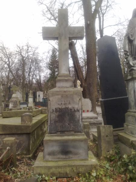 Zdjęcie grobu Julja Sękowska (1)