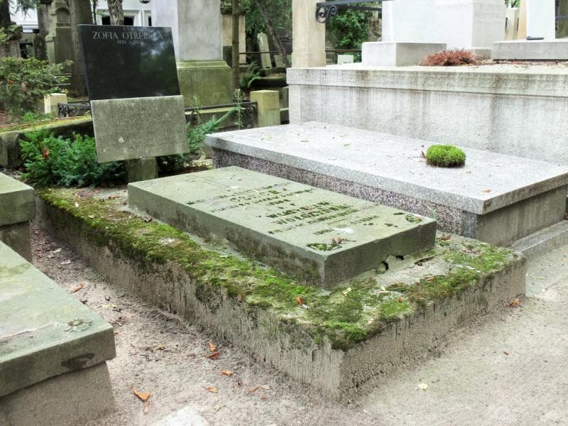 Zdjęcie grobu Aleksander Poliszewski (1)