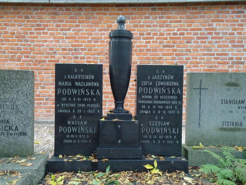 Zdjęcie grobu Czesław Podwiński (2)