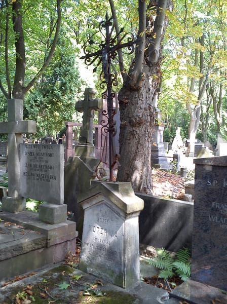 Zdjęcie grobu Irena Młyńczyk (2)