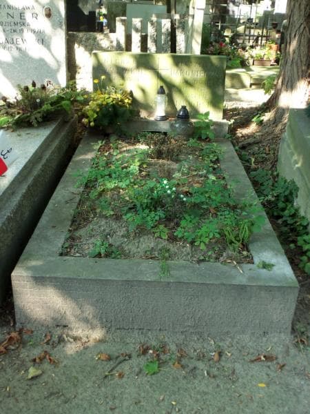 Zdjęcie grobu: Eugenia Jaworska